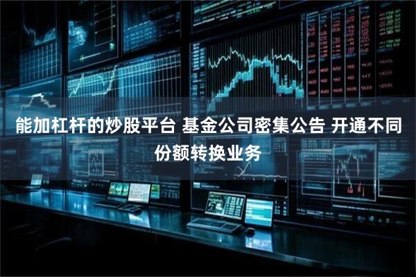 能加杠杆的炒股平台 基金公司密集公告 开通不同份额转换业务