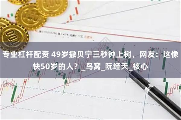 专业杠杆配资 49岁撒贝宁三秒钟上树，网友：这像快50岁的人？_鸟窝_阮经天_核心